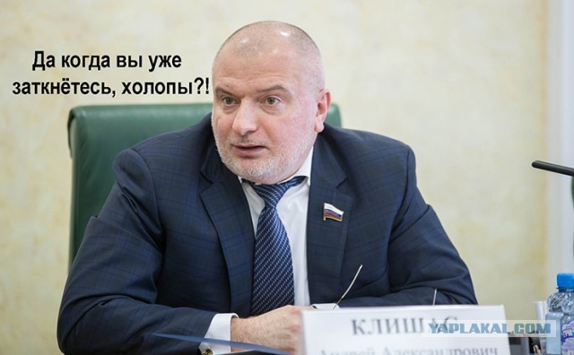 Рабочая группа по Конституции внесла предложение сделать должность сенатора в России пожизненной