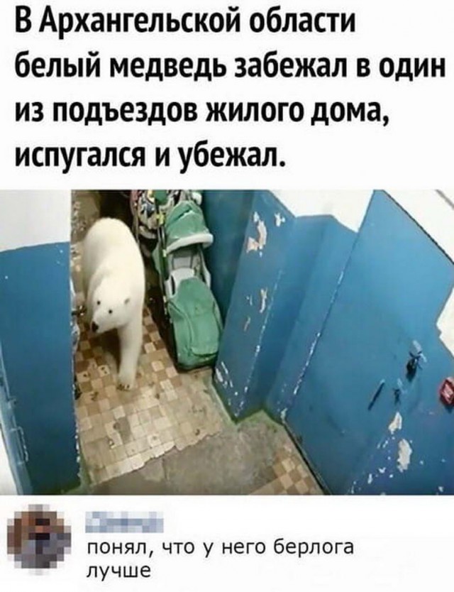 Бредзона 10.05.20