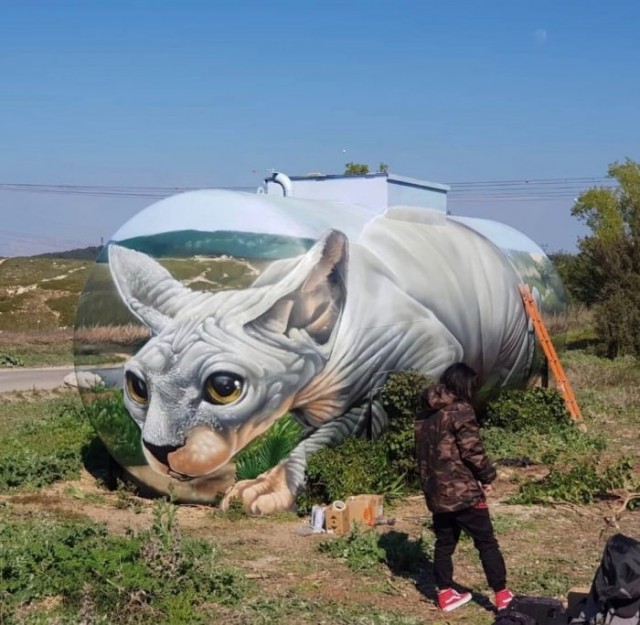 Так себе картинки 14.06.20