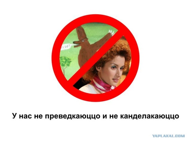 Фотожаба: Наши правила
