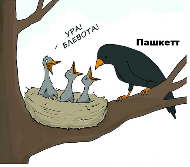 ЯПокатуры от tubdoc62