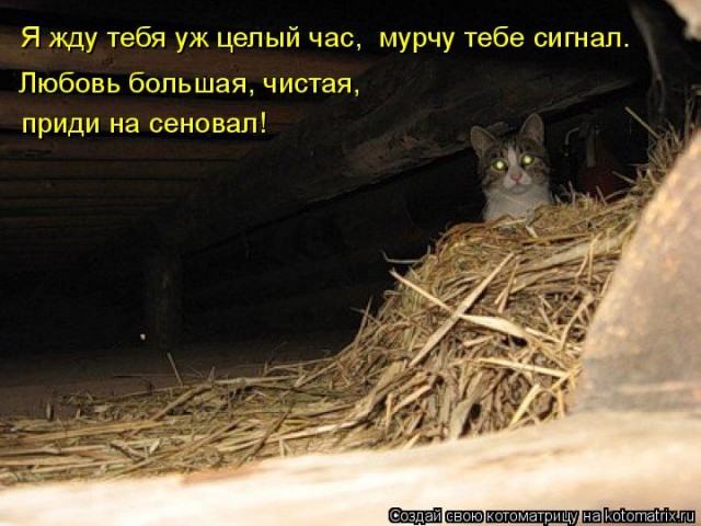 Значит, это любовь с первого взгляда? – А разве бывает другая любовь?