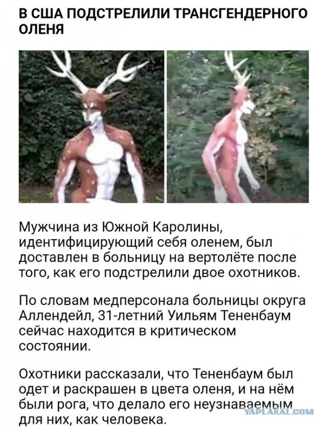 Бредзона 29.11.20