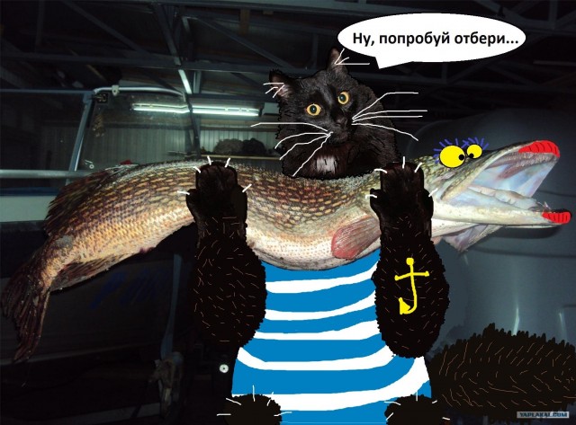 Эпичный кот