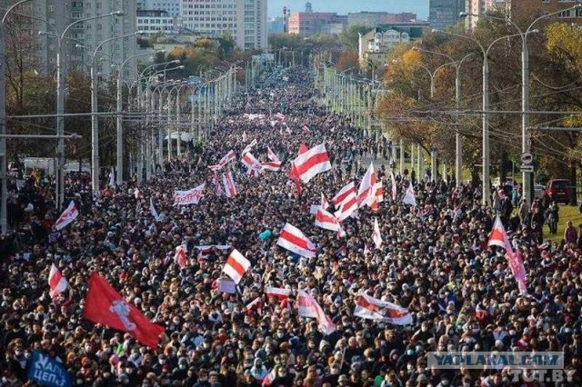 Во Владивостоке начались открытые столкновения протестующих с полицией