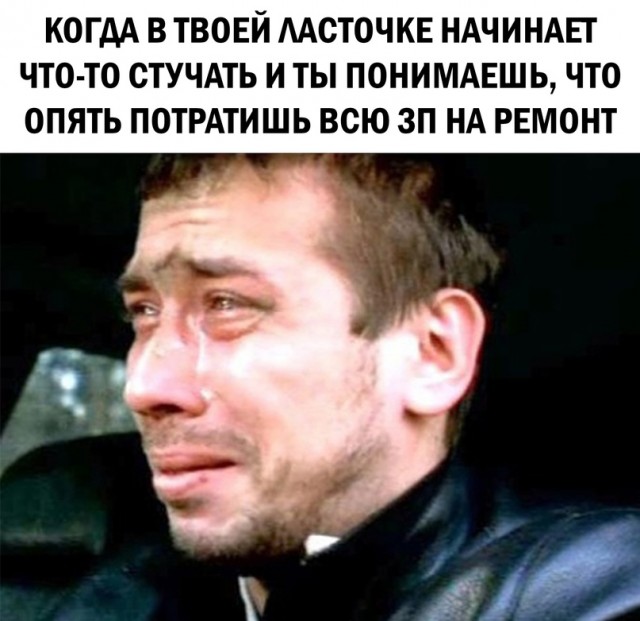 15501661.jpg