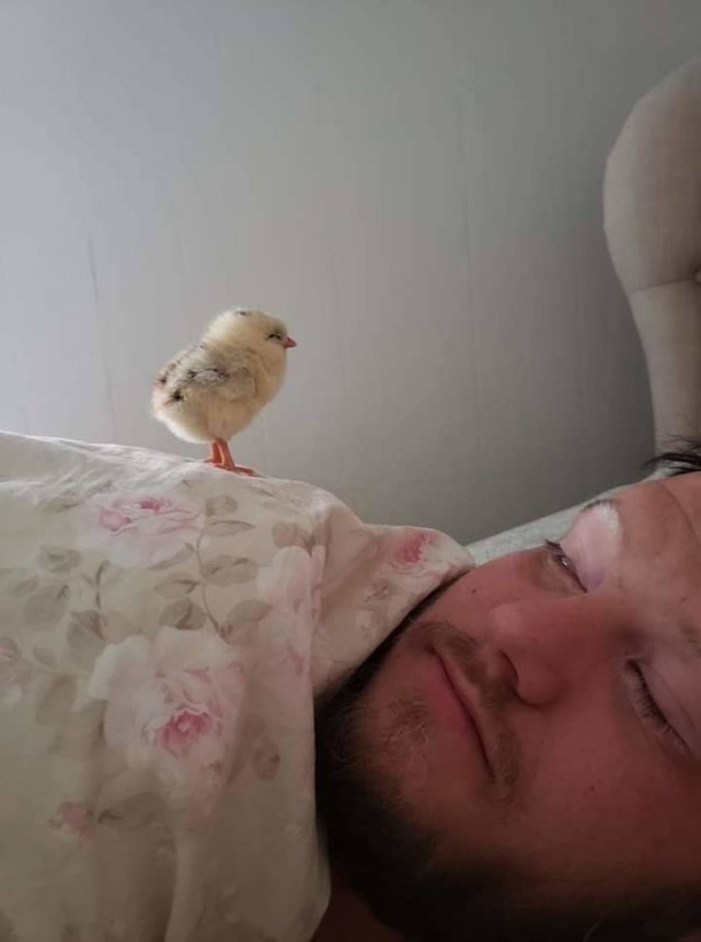 Картинки и мемы для настроения 28.07.2021