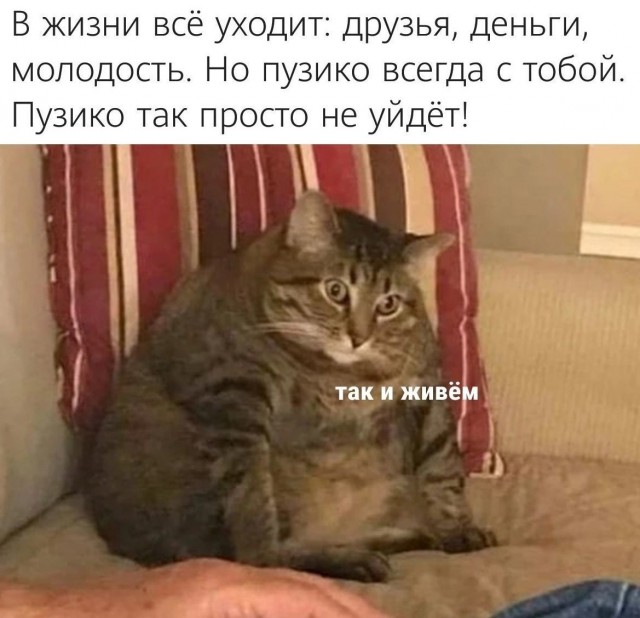 Так себе картинки 09.11.21