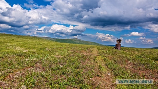 Болваны, я восьмой