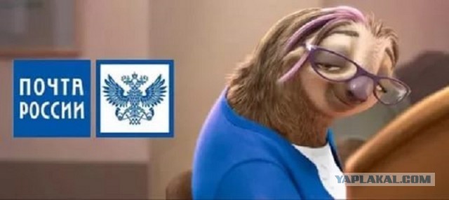 В России могут ограничить доступ к Госуслугам для всех, кто не сдал биометрию