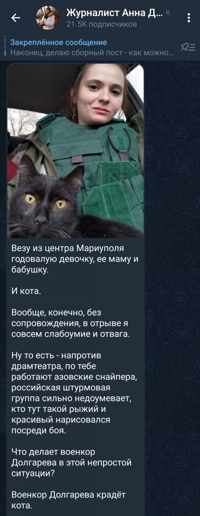 Грустный рыжий кот из Волновахи.