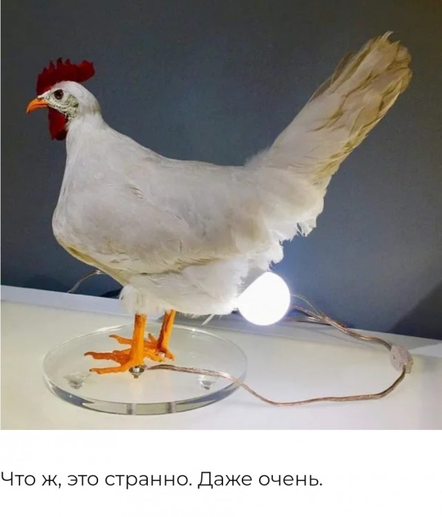 Странные самоделки, к авторам которых есть множество вопросов