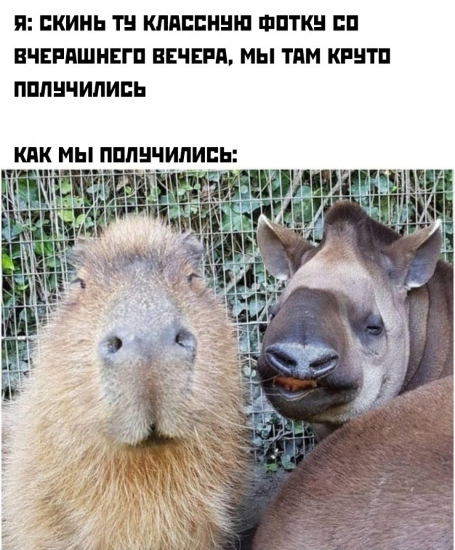 Немного картинок и прочей хреноты Vol. 15
