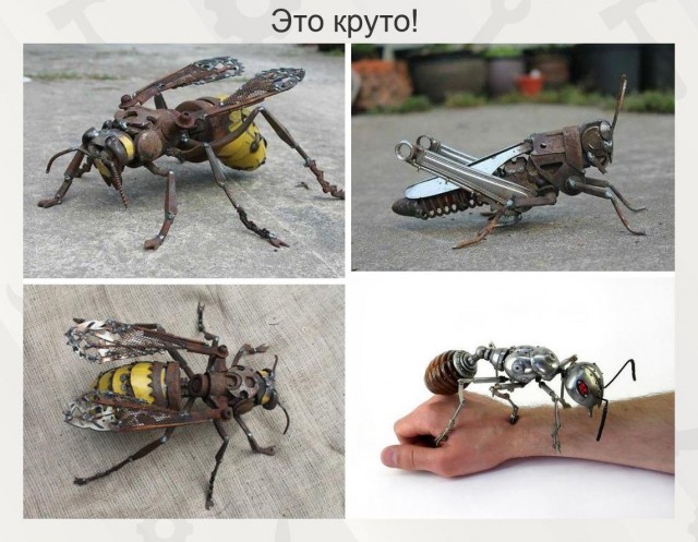 Мало картинок