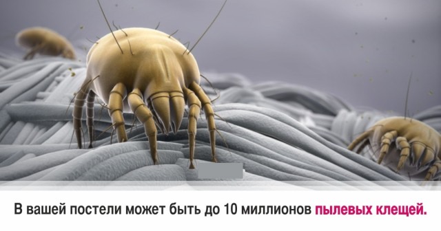 30 суровых фактов, которые пугают больше, чем фильмы ужасов