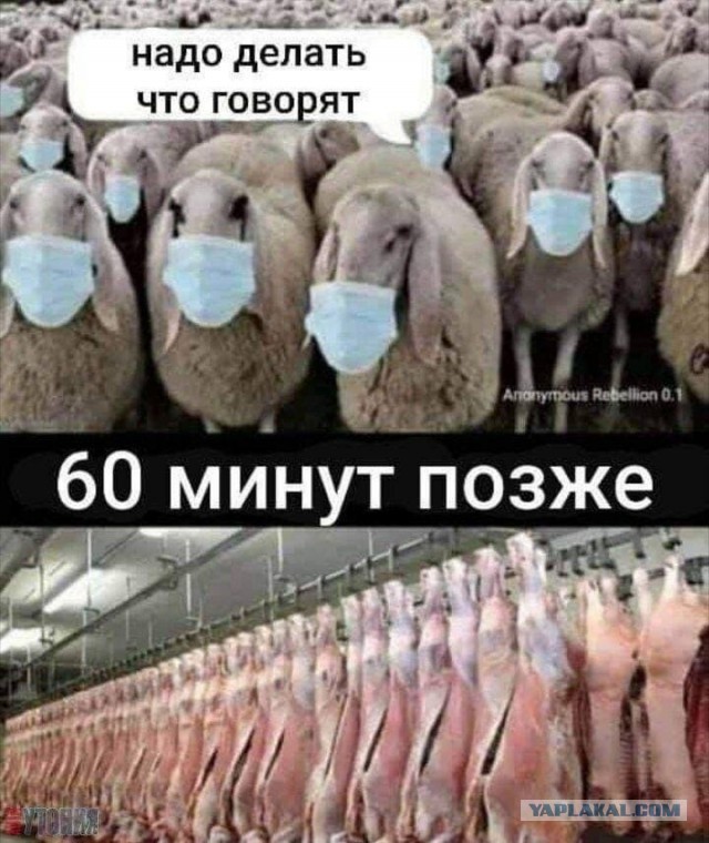 Сын моряка с подлодки «Курск» погиб на Украине
