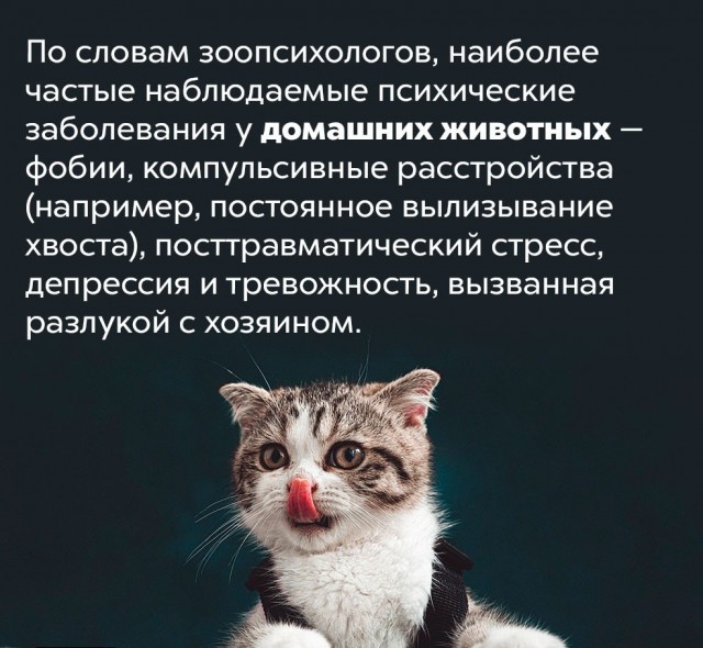 Подборка бесполезных,но интересных фактов.