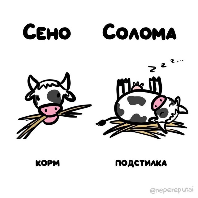 Смотри, Кутузов, не перепутай... vol.3