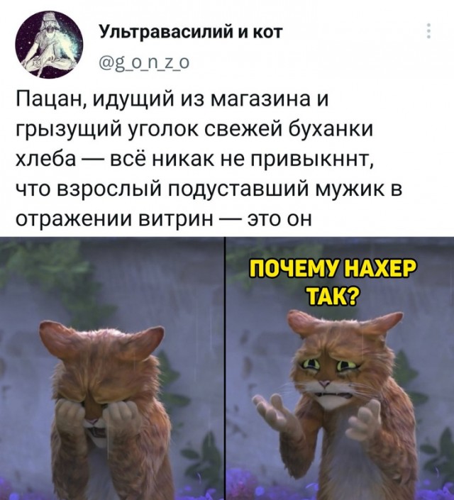 Немного картинок для настроения 07.03.2023