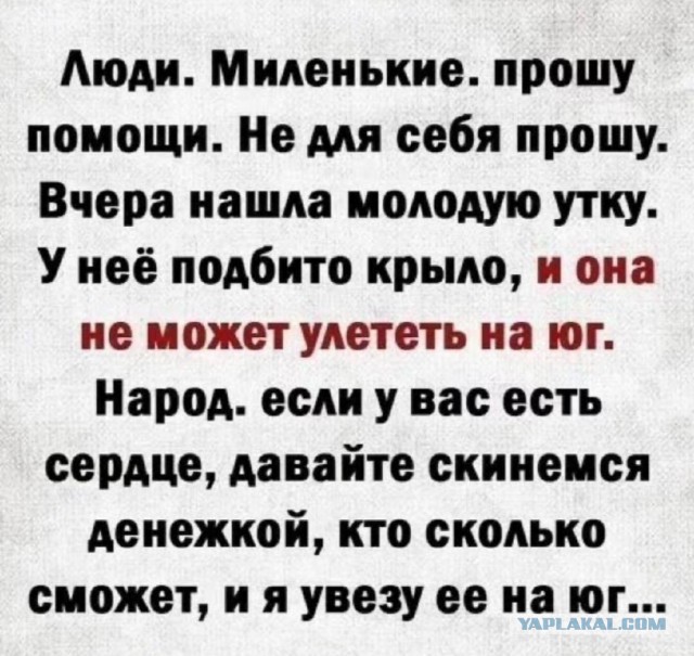 Всего понемногу. От 15.12.23