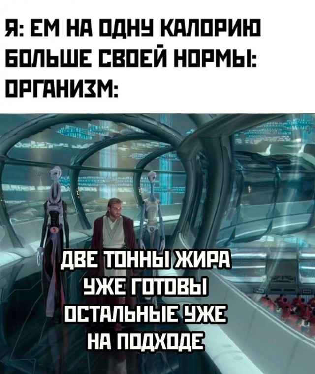 Весёлый полтишок 15.04.24