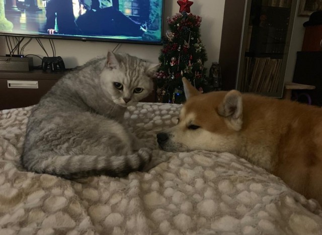 Ну а что? Мне понравилось...