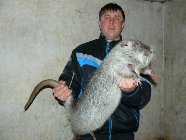 Так всякие картинки 02 05
