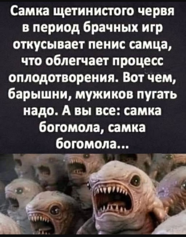 Интернет мемы на утро субботы