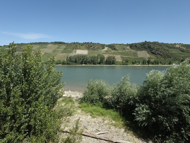 Корпоратив на природе