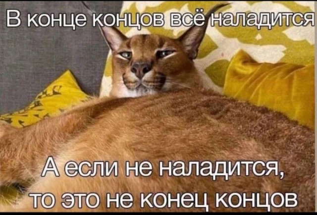 Давно не было....
