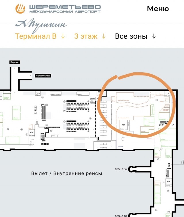 Золотую воду начали продавать во Внуково