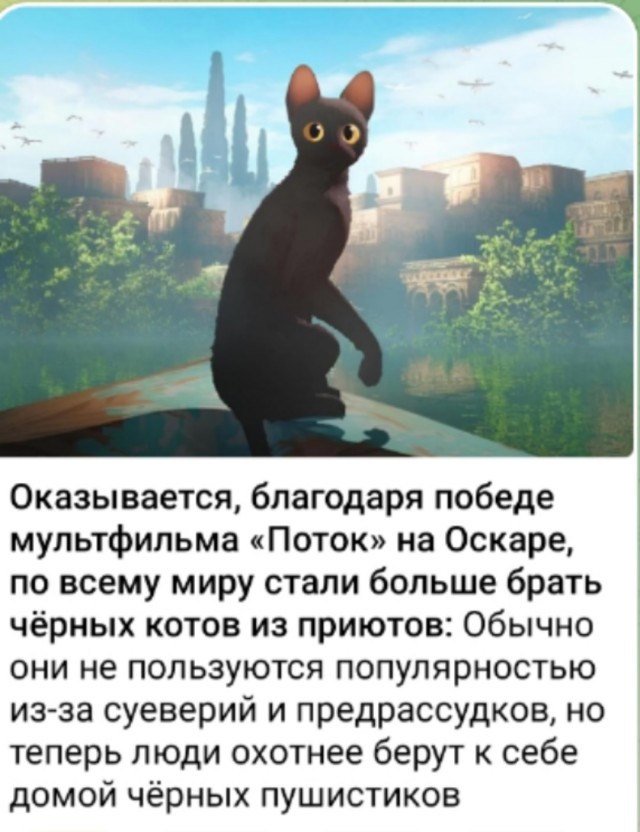 Так себе картинки 13.09.25
