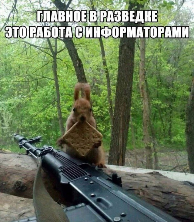 Картинки , вторник 14-е