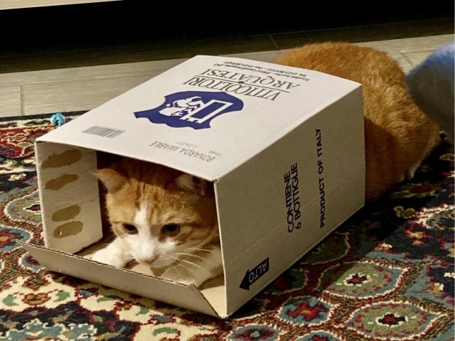 Котокоробковое