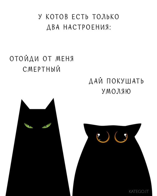 Картинки для деградации 133 (разной степени свежести)