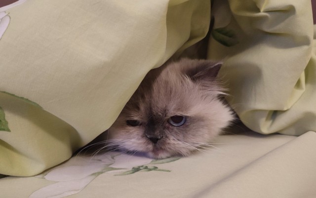 Самый лучший коллега.