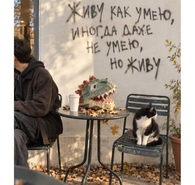 Прикольные и просто красивые картинки 16.10.2026