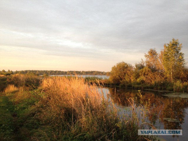 Красота природы не зависит от....