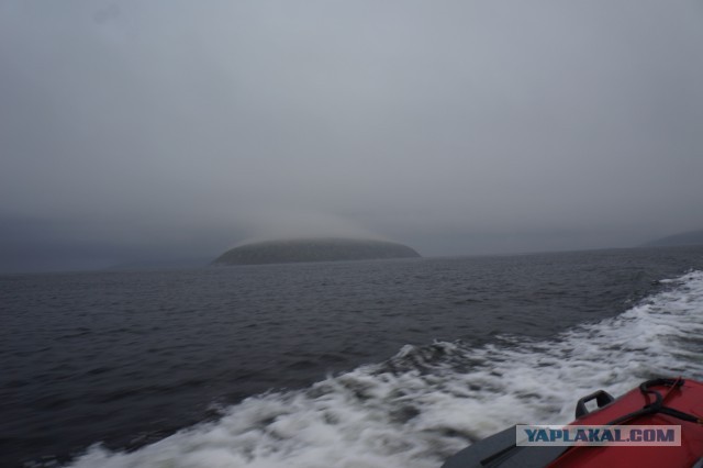Кузова/Белое море/Гиперборея