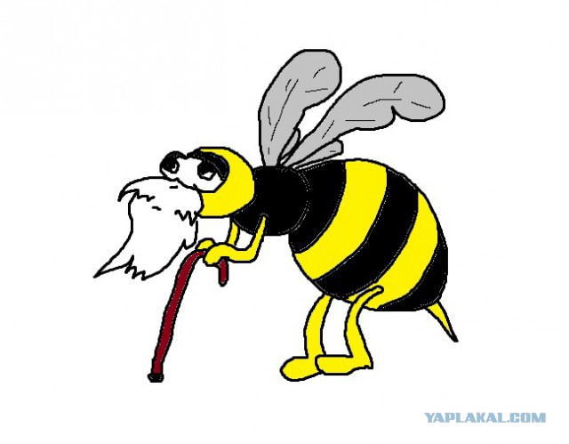 Визуализируем свои ники!