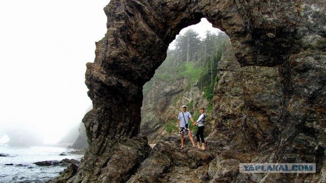 Природа Приморского края