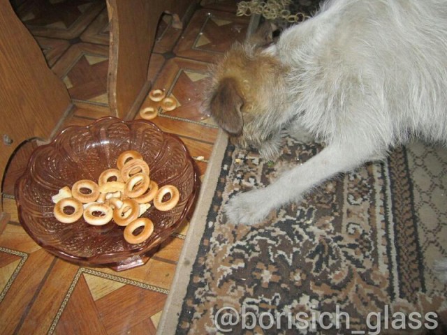 Будни Шахтерска