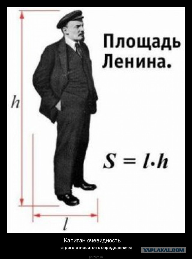 Неудачное спасение кота стало новым хитом.