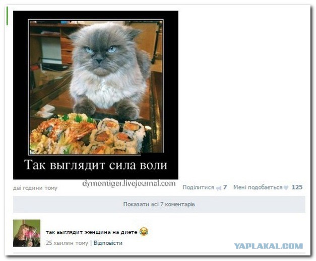 Смешные комментарии из социальных сетей 06.01.15