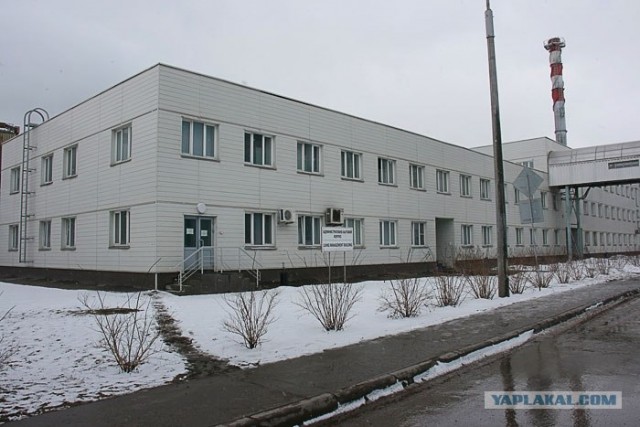 Один день из жизни металлурга и фермера