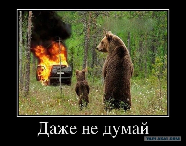 Идет медведь...