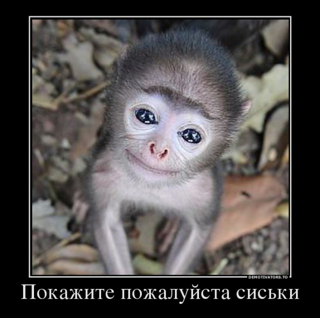 Вы хотите "демов"?