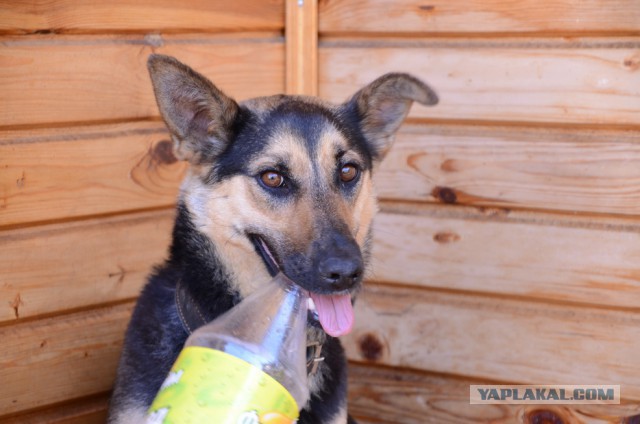 Где захотелось-там и уснулось