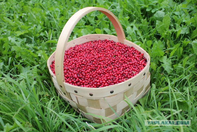 Славянская Душа