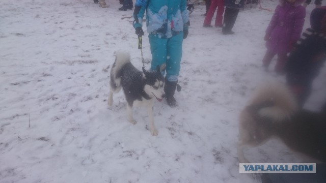 Деревенская Америка - 2